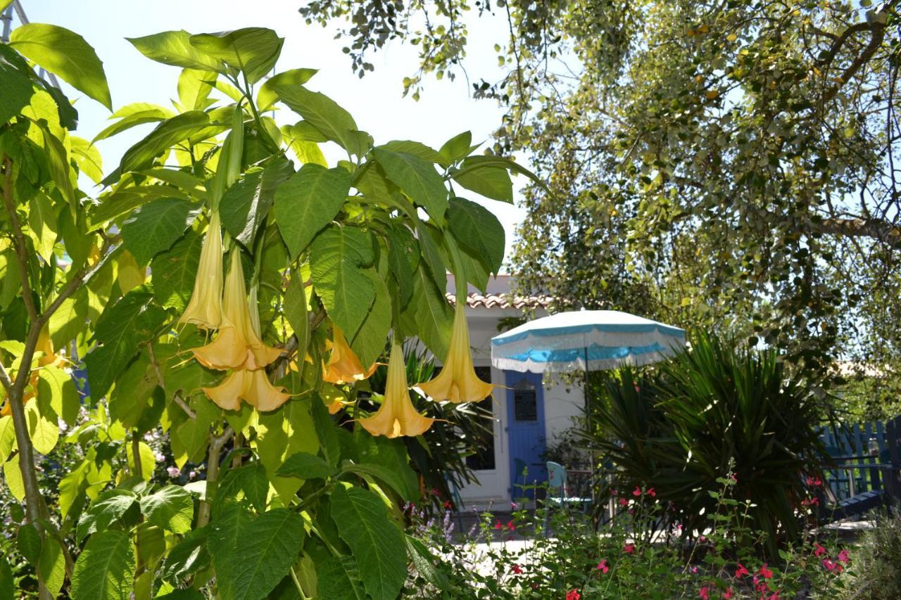 Atlantic Hôtel Saint-Pierre-d'Oleron Ngoại thất bức ảnh